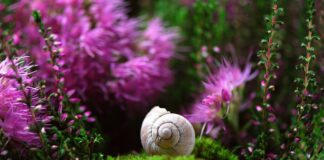 Jaka obudowa do RTX 2070 super? Jaka obudowa do RTX 2070 super?