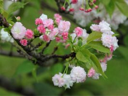 Jaka jest żywotność smartwatcha? Jaka jest żywotność smartwatcha?