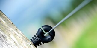 Ile procent Polaków ma smartfon? Ile procent Polaków ma smartfon?