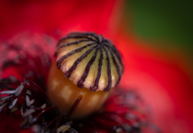 Czy 64 GB pamięci to dużo?