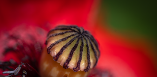 Czy 64 GB pamięci to dużo?